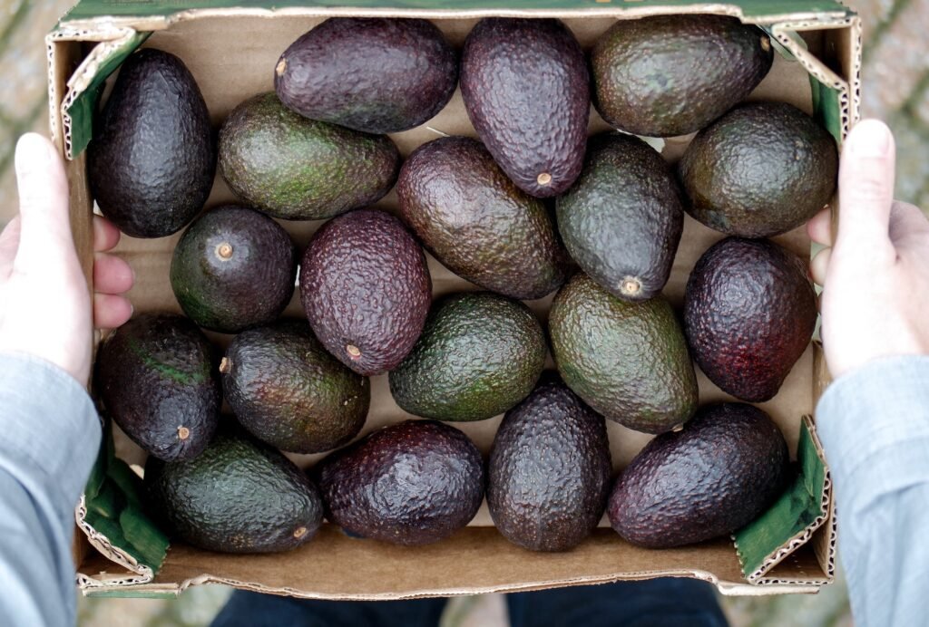 Box of avocados