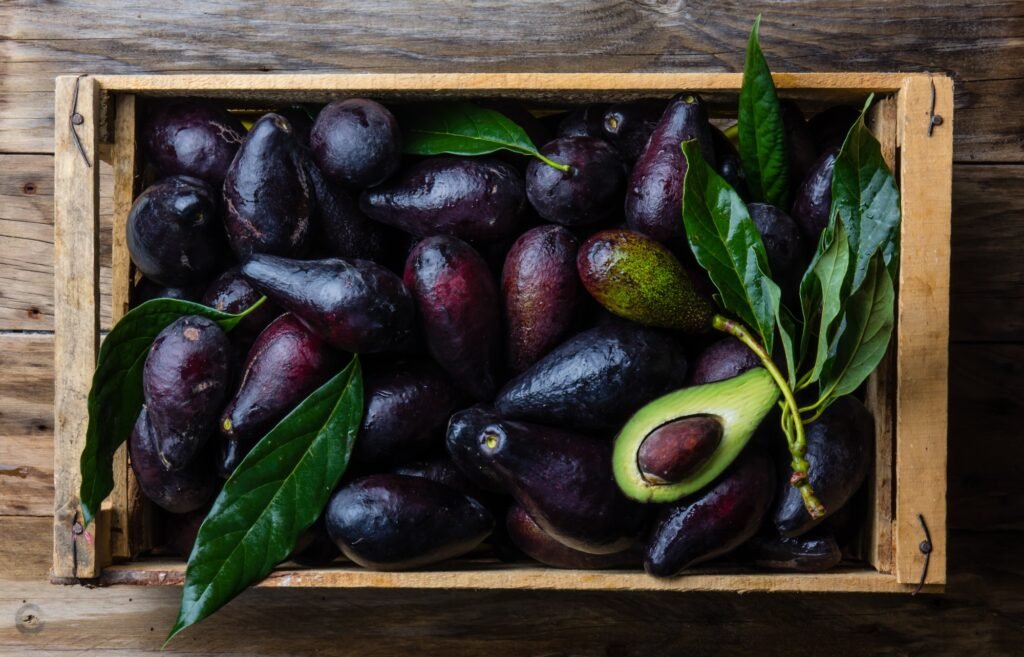 Box of fresh avocado with leaves. Harvest concept