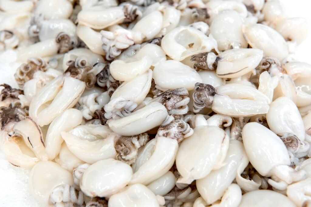 Raw cleaned cuttlefish on ice in a display