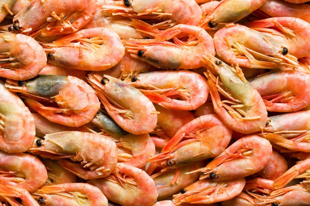 the shrimps